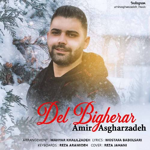 امیر اصغرزاده دل بیقرار